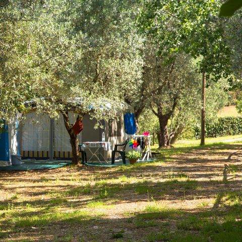 STAANPLAATS - Grote staanplaats: auto of motor + tent/caravan of camper + elektriciteit