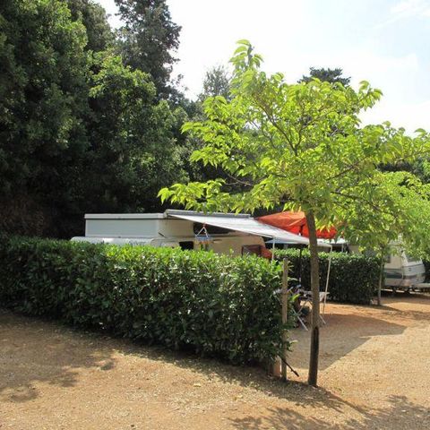 STAANPLAATS - Grote staanplaats: auto of motor + tent/caravan of camper + elektriciteit