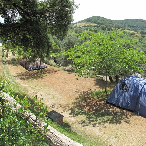 PLOT - Large pitch: car or motorbike + tent/caravan or camper van + electricity