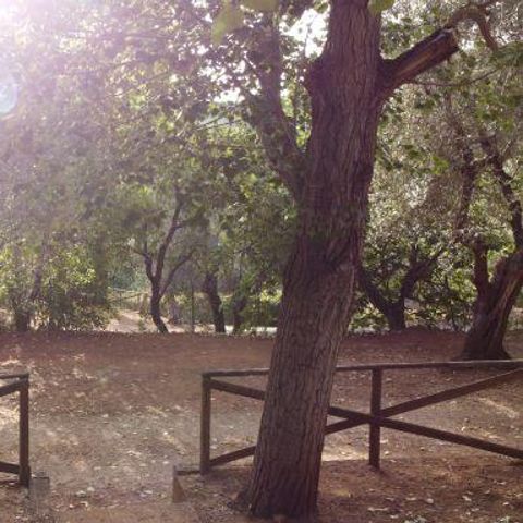 Stellplatz - Stellplatz Grand Comfort: Auto oder Motorrad + Zelt/Wohnwagen oder Wohnmobil + Strom