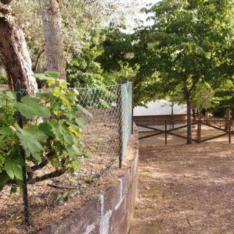 Stellplatz - Stellplatz Grand Comfort: Auto oder Motorrad + Zelt/Wohnwagen oder Wohnmobil + Strom