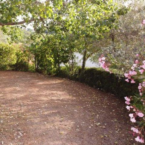 PLOT - Grand Comfort pitch: car or motorbike + tent/caravan or motorhome + electricity