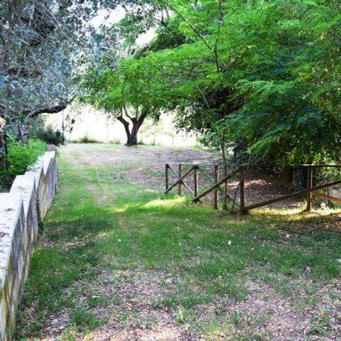 Stellplatz - Stellplatz Grand Comfort: Auto oder Motorrad + Zelt/Wohnwagen oder Wohnmobil + Strom