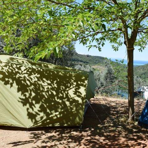 STAANPLAATS - Standplaats Grand Panoramica: auto of motor + tent/caravan of camper + elektriciteit