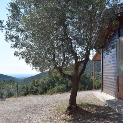 Bungalow 2 persons - 3-room bungalow 27 m² (27 m²)