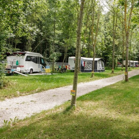Kampeerplaats - Comfort pakket: 1 voertuig + caravan of tent + elektriciteit