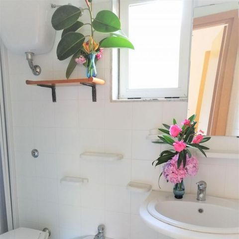 Bungalow 4 Personen - Bungalow 4 personen