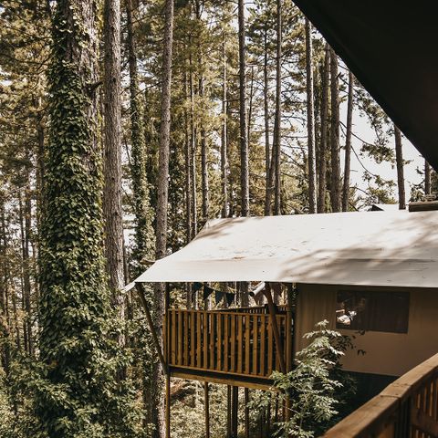 TENTE TOILE ET BOIS 4 personnes - y compris les installations sanitaires