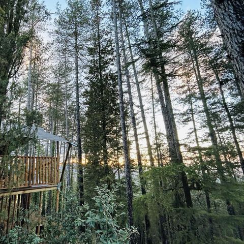 TENTE TOILE ET BOIS 6 personnes - Camping Luna del Monte - Tente Safari 6 personnes