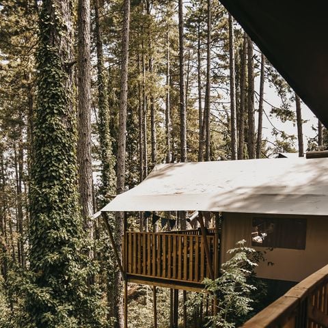 TENTE TOILE ET BOIS 4 personnes - y compris les installations sanitaires