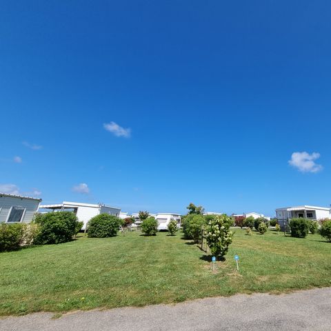 PLOT - Pitch WITH electricity: 1 vehicle + 1 tent or 1 caravan or 1 motor home