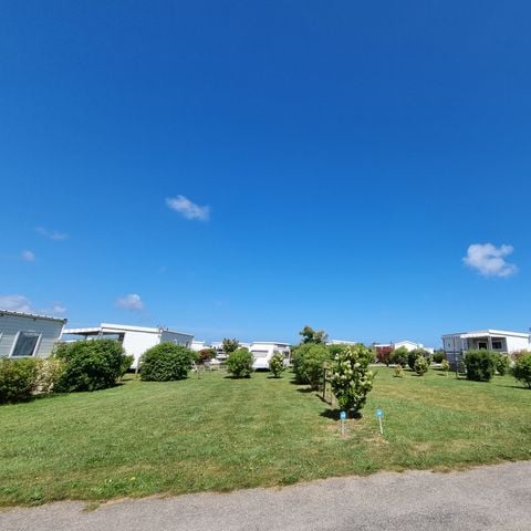 Stellplatz - Stellplatz MIT Strom: 1 Fahrzeug + 1 Zelt oder 1 Wohnwagen oder 1 Wohnmobil