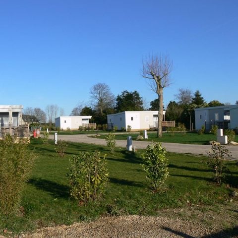 STAANPLAATS - Standplaats ZONDER elektriciteit: 1 voertuig + 1 tent of 1 caravan of 1 camper