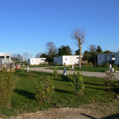 STAANPLAATS - Standplaats ZONDER elektriciteit: 1 voertuig + 1 tent of 1 caravan of 1 camper