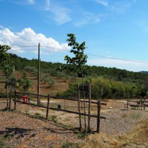 STAANPLAATS - Pakket voor 2 volwassenen
