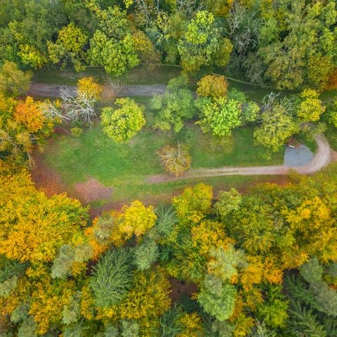 EMPLACEMENT - Champ de tracteurs