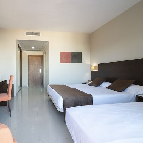 Kamer 3 personen - Hotelkamer