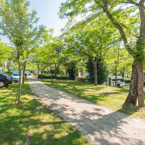 PARCELA - Parcela estándar para caravana, autocaravana y tienda (paquete básico para 2 personas)