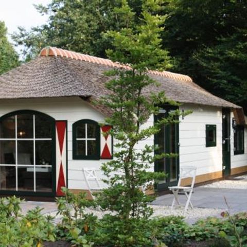 Vrijrijck Heivlinder - Camping Ermelo - Image N°3