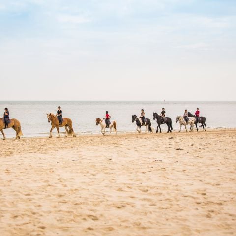 Landal Kaap West - Camping Terschelling - Image N°3