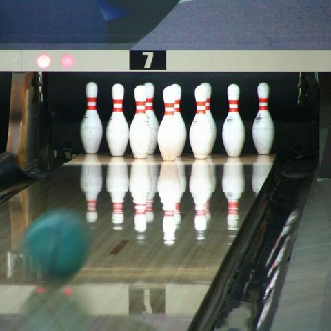 Villatent De IJsvogel - Camping Barneveld - Image N°5