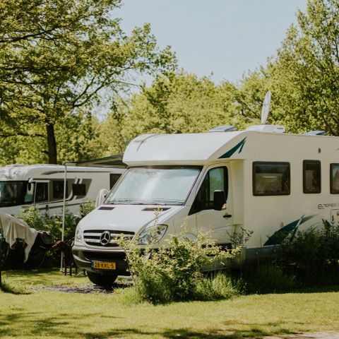 Pitch - DeLuxe Motorhome Site