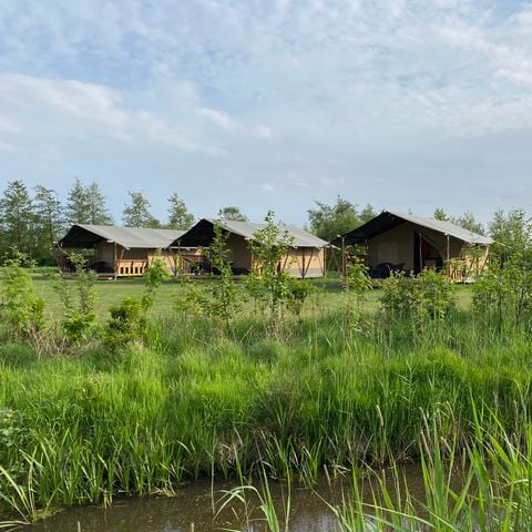 Vodatent Natuurlijk de Veenhoop - Camping Smallingerland - Image N°5