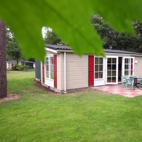 Bospark De Bikkels - Camping Deurne - Image N°2