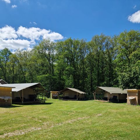 CANVAS AND WOOD TENT 4 people