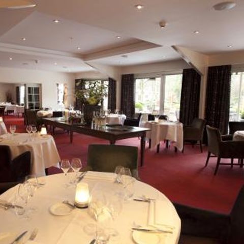 Residentie Sparrenburg - Camping Oisterwijk - Image N°2