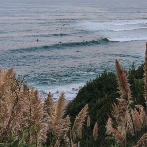 Wecamp San Sebastian - Camping Guipuscoa - Image N°2