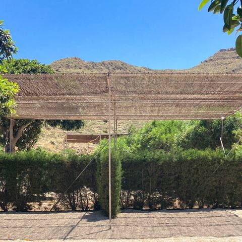 Stellplatz - Standard Stellplatz