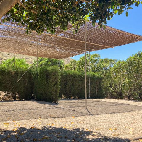 PIAZZOLA - Passo standard