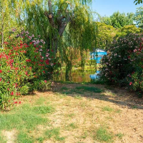 EMPLACEMENT - Pitch Standard Laguna