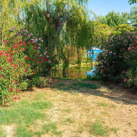 Pitch - Pitch Standard Laguna