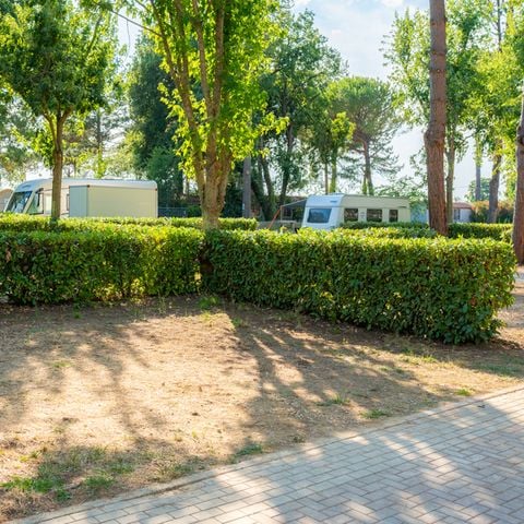 PIAZZOLA - Piazzola Comfort