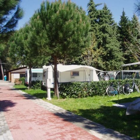 Kampeerplaats - Piazzola Comfort con Bagno Privato