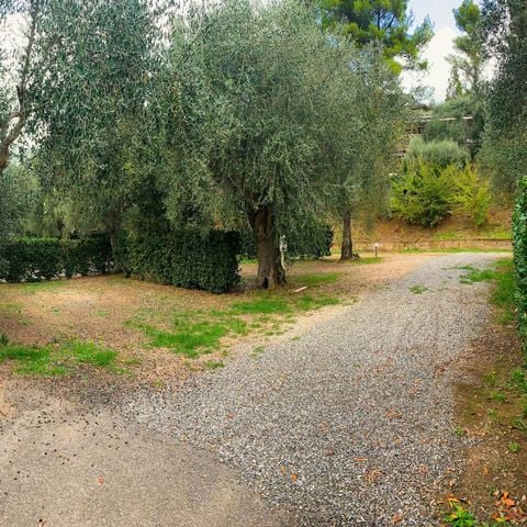 EMPLACEMENT - Emplacement Confort (électricité 6A + eau)