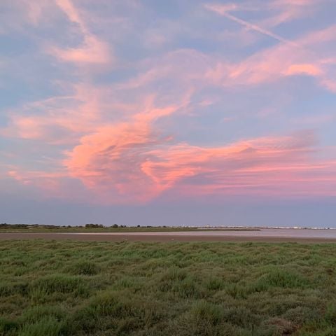 MOBILHOME 4 personnes - Flamingo N°109 - 2 ch 