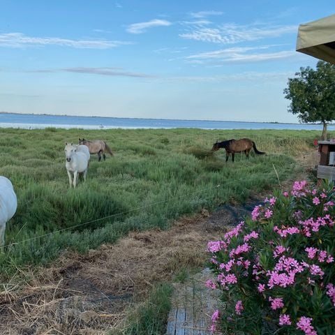 CASA MOBILE 6 persone - Casa mobile Key West - Vista sullo stagno - 3 camere da letto -