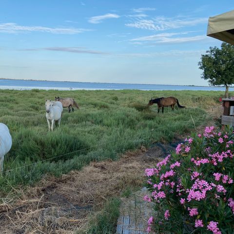MOBILHOME 6 personas - Key West - Vista al estanque - 3 bdrms -