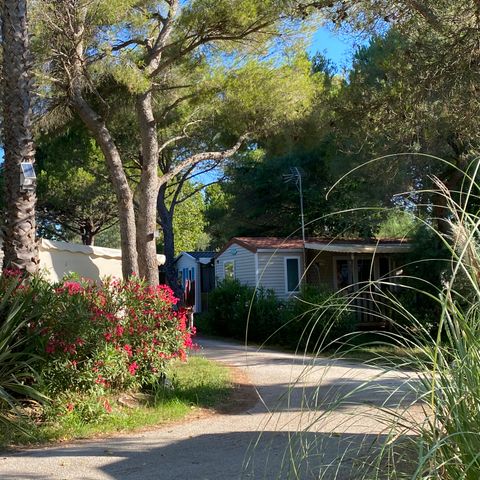 Camping de l'Arnel - Camping Hérault - Image N°5