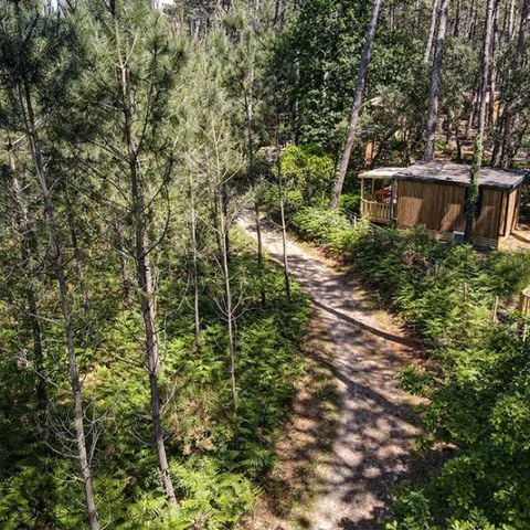 LODGE 2 personnes - Cottage Premium Suite For 2 - TV - Climatisation