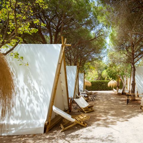 Kampaoh Paloma - Camping Cádiz - Image N°5