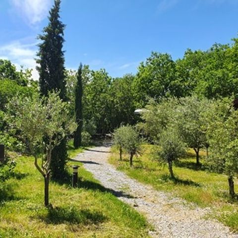 LODGE 2 personen - Hotel woonwagen met airconditioning en ontbijt / Optioneel privé spa