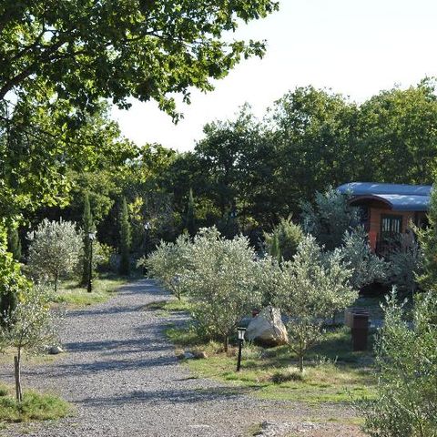 ALBERGUE 5 personas - Roulotte (Estancia familiar) climatizada / sin desayuno / 5 pers incluidas / Spa privado opcional