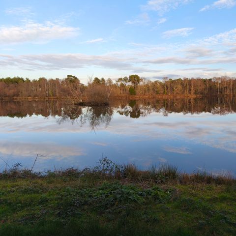 Mobilheim 4 Personen - Cottage Sureau - 26.5 m² - 2 Zimmer