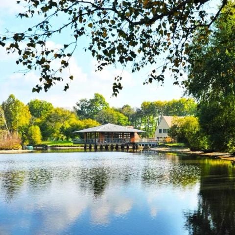 Camping Domaine de Sainte Montaine - Camping Cher - Image N°3