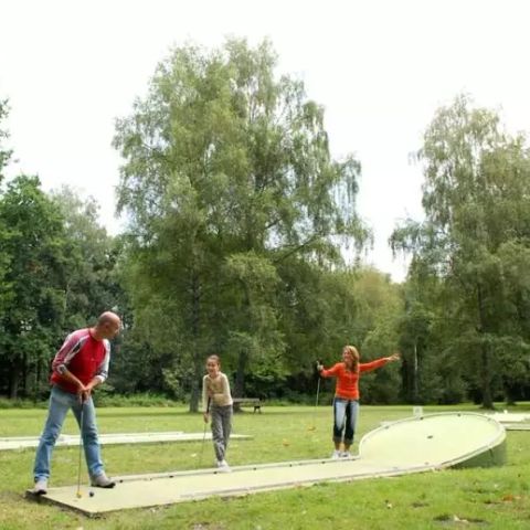 Camping Domaine de Sainte Montaine - Camping Cher - Image N°5