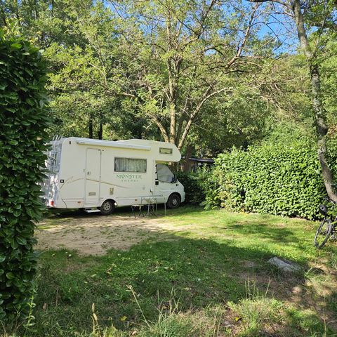 Kampeerplaats - Comfort pakket, 1 tent of caravan + auto of camper + elektriciteit